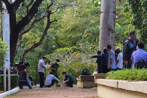 Điều tra làm rõ người đàn ông tử vong dưới gốc cây ở Đắk Lắk