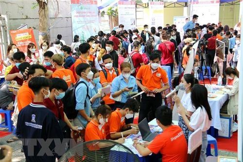 TP Hồ Chí Minh mở sàn giao dịch việc làm trực tiếp và trực tuyến