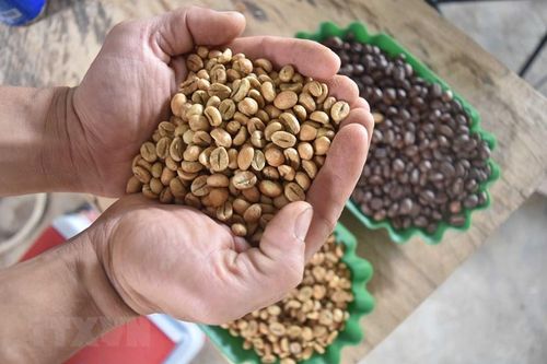 Cơ hội tìm hiểu thị trường Lào của các doanh nghiệp càphê Việt Nam