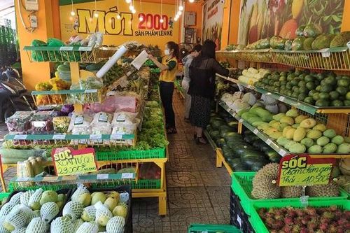 Cần các diễn đàn kết nối nông sản chuyên biệt cho từng mặt hàng chủ lực