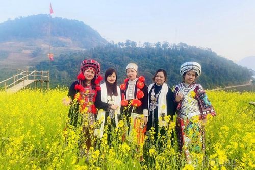 Chiêm ngưỡng mùa hoa cải vàng Hồng Thái