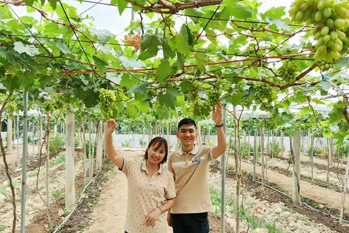 Khai thác dư địa phát triển ngành nông nghiệp