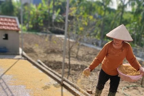 Gieo mầm hy vọng