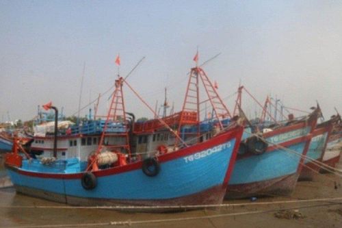Tiền Giang: Phát triển nghề cá bền vững gắn với phòng chống IUU