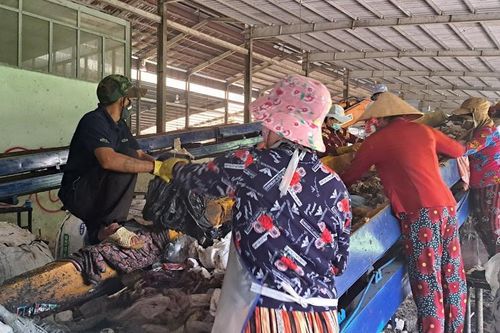 Xử lý rác thải Phú Quốc, bài toán khó giải?