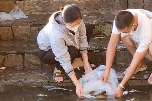 Người dân TP Biên Hòa thả cá phóng sinh nhân ngày rằm tháng Giêng