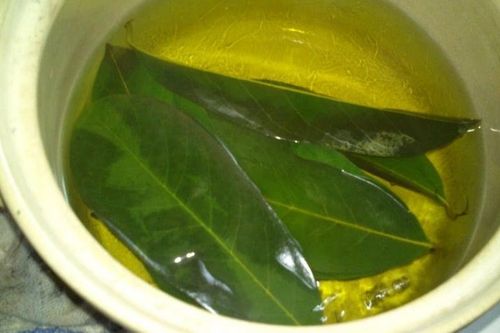 Chỉ cần một nắm lá xoài cho bạn 10 công dụng siêu bất ngờ, nhất là với người bị sỏi thận và sỏi mật
