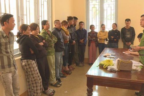 Bắt giữ hàng chục 'con bạc' đang sát phạt nhau trong rẫy vắng