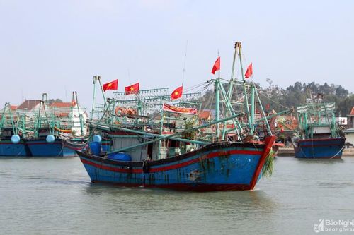 Chuyến biển khai Xuân, 1 tàu cá của ngư dân Quỳnh Lưu đạt 3 tỷ đồng