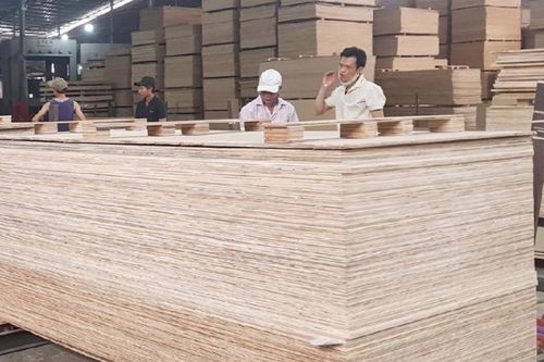 Ngành gỗ dán cần phải thích ứng với môi trường thương mại đang thay đổi