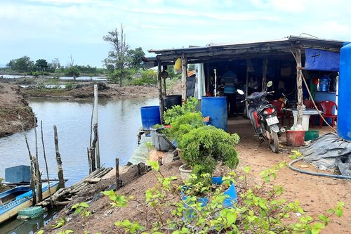 Hai dự án bãi container rộng hàng chục hecta sau hơn 10 năm vẫn là rừng đước, vuông tôm tại Bà Rịa - Vũng Tàu