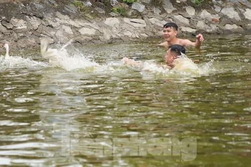 Hàng trăm người hò hét bắt vịt ở hội làng