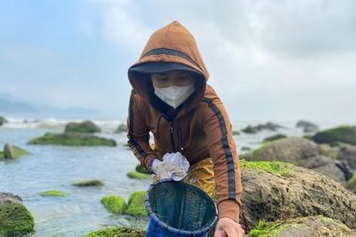 Những phụ nữ 'cược' mạng sống với biển, đu bám ghềnh đá hái rau nước mưu sinh