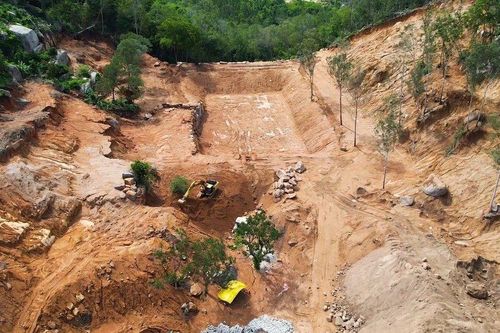 Bà Rịa -Vũng Tàu: Xử phạt 3 người hơn 560 triệu đồng vì phá rừng