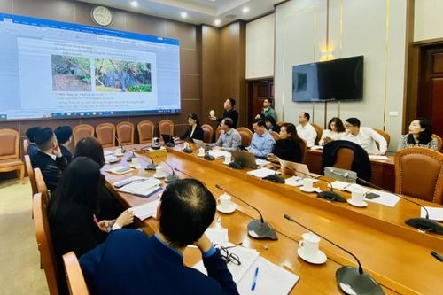TP. Hạ Long sẽ khai thác tiềm năng du lịch của núi Bài Thơ