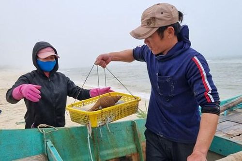Lộc biển đầu năm