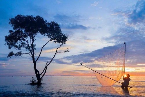 Triển vọng du lịch sinh thái biển tại Tiền Giang