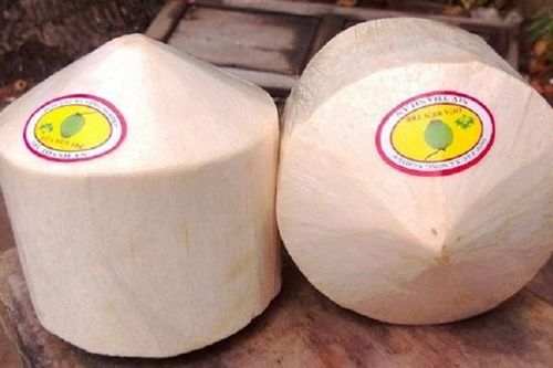 Xuất khẩu dừa tươi vào Mỹ phải tiến hành phân tích nguy cơ dịch hại