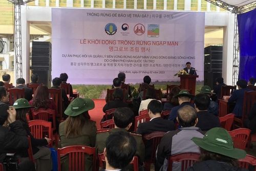 Ninh Bình: Khởi động trồng rừng Dự án Phục hồi và quản lý bền vững rừng ngập mặn vùng Đồng bằng sông Hồng