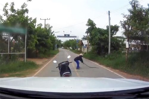 Clip: Cao thủ trổ tài bắt rắn trong 'chớp mắt'