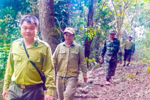 Mường Lay - điểm sáng quản lý, bảo vệ rừng