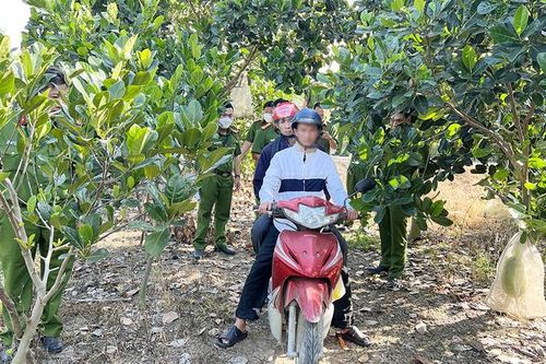 An Giang: Đánh bạc dẫn đến nợ nần, giết người, cướp tài sản trong vườn mít