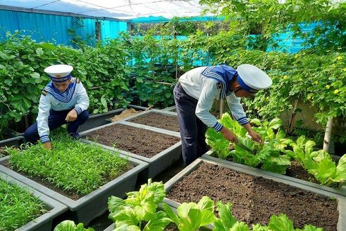 Chiến sĩ Hải quân chung tay 'xanh hóa' Trường Sa