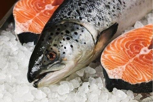 3 điều cấm kỵ khi ăn cá nếu không muốn bỏ tiền 'mua bệnh' vào người