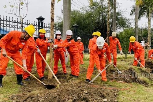 Công ty Nhiệt điện Uông Bí hưởng ứng chương trình trồng 1 triệu cây xanh của EVN
