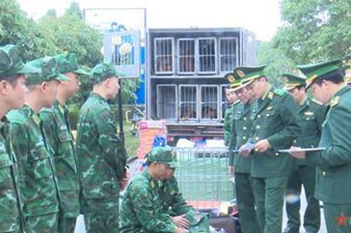 'Những người bạn trung thành' sẽ cùng tham gia cứu hộ tại Thổ Nhĩ Kỳ
