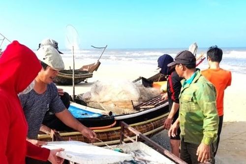 Quảng Trị: Niềm vui từ mùa biển mới