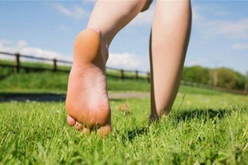 Tại sao bạn không nên đi chân đất?