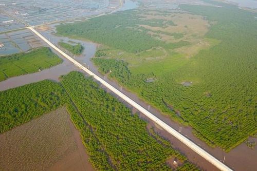 Tập đoàn Xuân Thiện xin làm dự án lọc dầu 2.500ha ở Ninh Bình