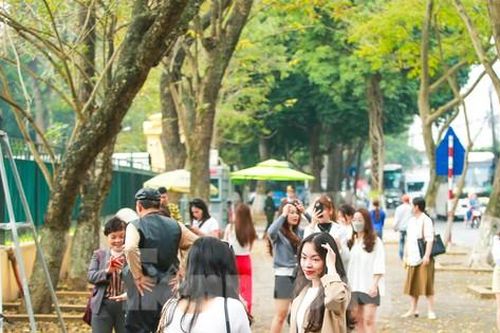 Hà Nội mùa cây thay lá, giới trẻ mê mẩn check-in với thảm lá vàng rực rỡ