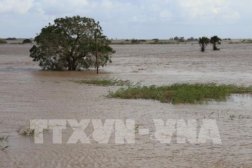 Lũ lụt nghiêm trọng ở miền Nam Mozambique, 15.000 người phải di tản