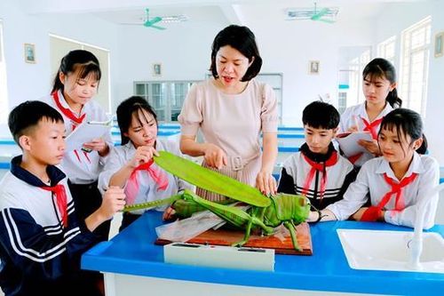 Giáo dục các quận, huyện chung tay để phát triển