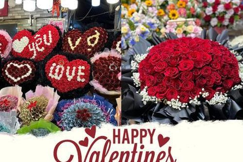 Ghé 'thiên đường hoa' Hồ Thị Kỷ mùa Valentine: Mao lương, tulip soán ngôi hoa hồng