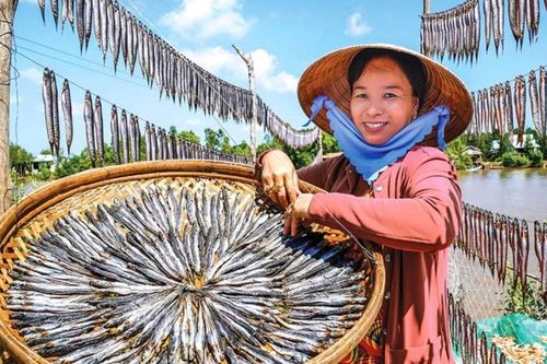 Cà Mau – Bạc Liêu: Cá kèo khan hàng, giá tăng mức kỷ lục