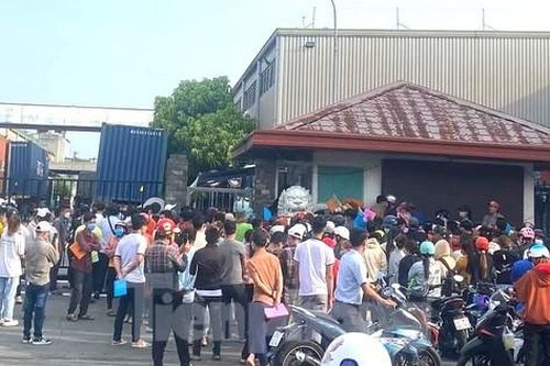Hàng trăm người chen chân nộp hồ sơ xin việc