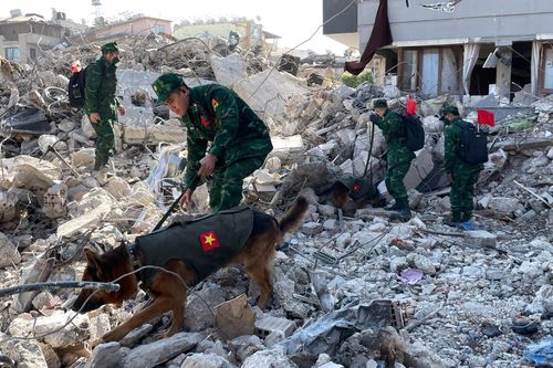 Chó nghiệp vụ của Việt Nam lùng sục giữa đống đổ nát tìm nạn nhân ở Thổ Nhĩ Kỳ