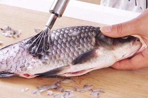 3 bộ phận của con cá tốt cho sức khỏe, nhiều người không biết vứt đi