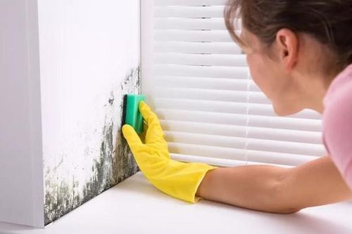 Loại bỏ nấm mốc trên tường dễ dàng với 3 nguyên liệu quen thuộc