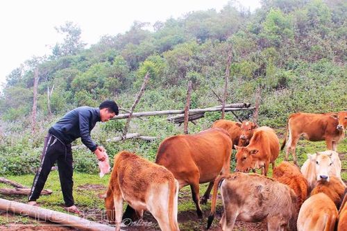 Thay đổi cách làm kinh tế giúp bà con vươn lên thoát nghèo bền vững