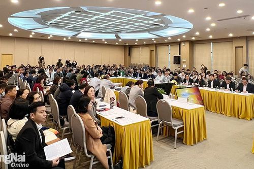 Nhiều ý kiến góp ý thẳng thắn cho dự thảo Nghị định kinh doanh xăng dầu