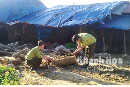 Vụ phá rừng ở xã Ninh Ích: UBND tỉnh Khánh Hòa chỉ đạo xử lý kiên quyết, đến bước cuối cùng