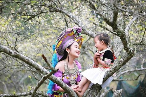 Thiên đường hoa mận Mường Lống