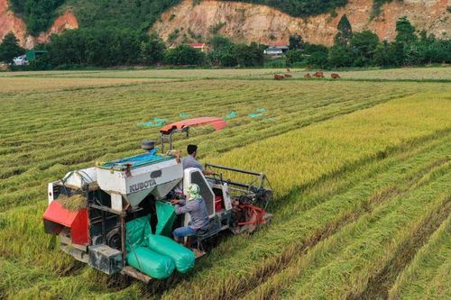 Giảm nghèo ở miền đất huyền thoại