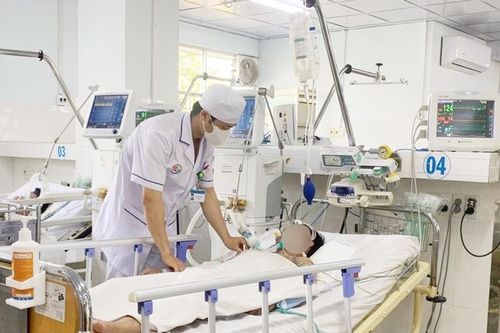 Ngộ độc vì ăn nhầm so biển: Mối nguy hại khôn lường