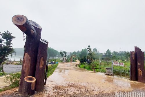 Chấn chỉnh sai phạm của Công ty TNHH giáo dục trải nghiệm Trưng Vương Garden