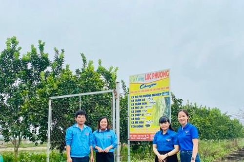 Bí thư Chi đoàn khởi nghiệp trồng trọt chăn nuôi, thu hàng trăm triệu đồng mỗi năm